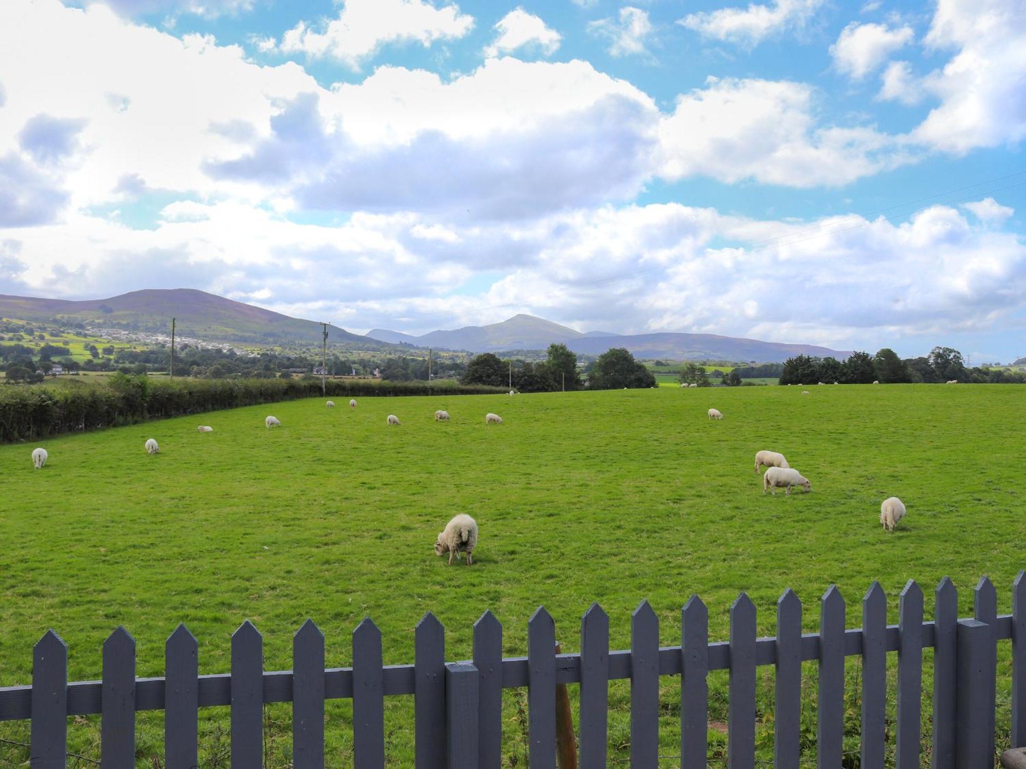 Pencefn Cottage Llanddeiniolen Zewnętrze zdjęcie